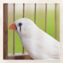 Search for cage barware Cute