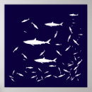 Search for shark attacks posters Ocean