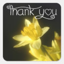 Search for daffodil flower stickers Thank you