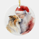 Search for sheltie ornaments Animal