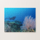 Search for coral reef puzzles Sea