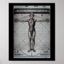 Search for for a man posters Leonardo