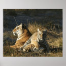 Search for african wildlife posters Outdoors