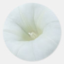 Recherche de lune blanche autocollants Simple