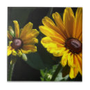 Recherche de oeil carreaux Floral