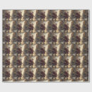 Search for skateboard wrapping paper Santa