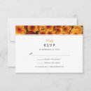 Search for chrysanthemums Floral