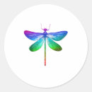 Search for dragonfly lover stickers Dragonfly in amber