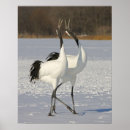 Recherche de grues japonaises posters Nature
