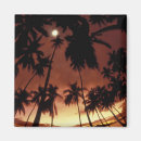 Recherche de aquatique magnets Coucher de soleil