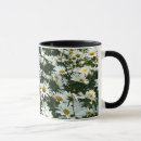 Search for shasta daisy mugs Flower