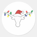 Search for longhorn cattle stickers Bull