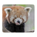 Recherche de kawaii planches à découper Mignonne