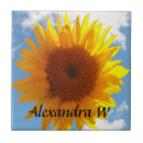 Search for aster tiles For her