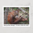 Search for odontology postcards Tooth