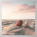 Search for shell photography Waves