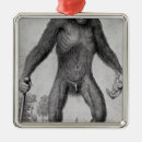 Search for chimpanzees ornaments Monkey