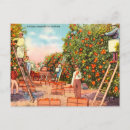 Search for picking postcards Travel