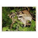 Search for sister mothers day cards Friend
