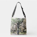Recherche de notre arbre sacs Paysage