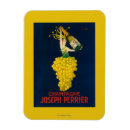 Recherche de joseph magnets Cru