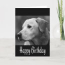 Search for black labrador retriever birthday cards Puppy