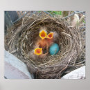 Search for hatching art Bird