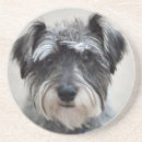 Search for schnauzer coasters Dog