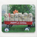 Search for wagon mousepads Cute