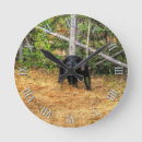 Search for ursus photography Animal