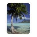 Recherche de polynesie magnets Plage