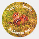 Search for chipmunks stickers Animal