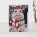 Recherche de porc noël cartes Famille