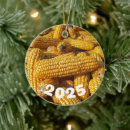 Search for corn ornaments Farming