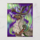 Search for northern lights cards Reindeer