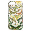 Search for papillon iphone cases Illustration