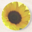 Search for happy sun coasters Cheerful