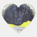 Search for dog reading stickers School