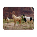 Search for navaho rectangular magnets Canyon de chelly