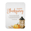 Search for cornucopia magnets Thanksgiving