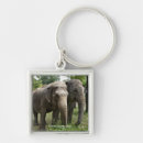 Search for asian keychains Animals