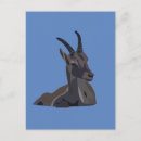 Search for ibex postcards Wildlife