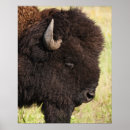 Search for two sided posters Nature