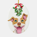 Search for pitbull ornaments Dog