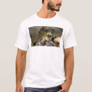 Search for cbc tshirts Docs