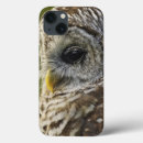 Search for barred owl electronics Strix varia