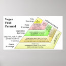 Search for diets posters Food pyramid