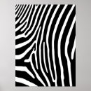 Recherche de copie de zèbre posters Blanc
