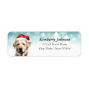 Search for labrador return address labels Retriever
