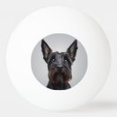 Recherche de tête balles ping pong Animal